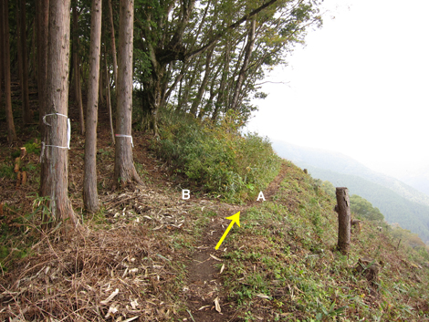 20191031hike (215)